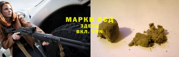 хмурый Алексин