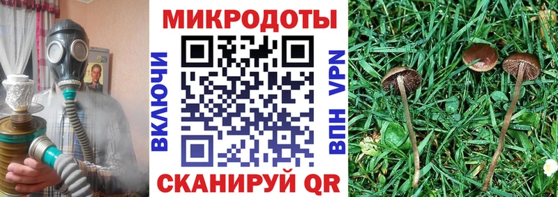 Галлюциногенные грибы прущие грибы Скопин